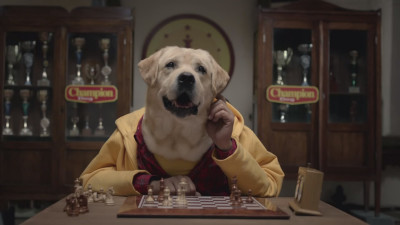 Perros jugando ajedrez y conversando en un video divertido